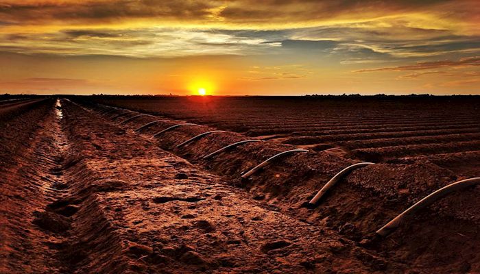 Farming's Recipe for Success