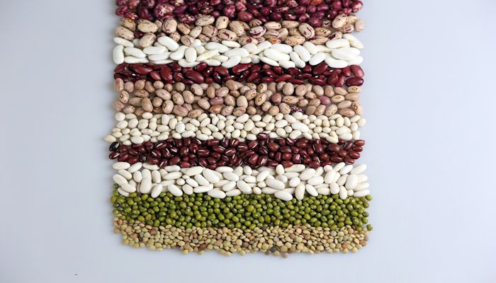 Eat More Arizona Grown Beans! 