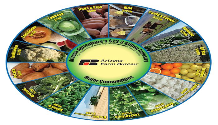 Can you Name Arizona's Top Agriculture Commodities?