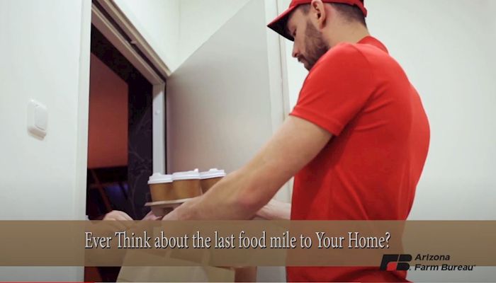 Navigating the Last Food Mile