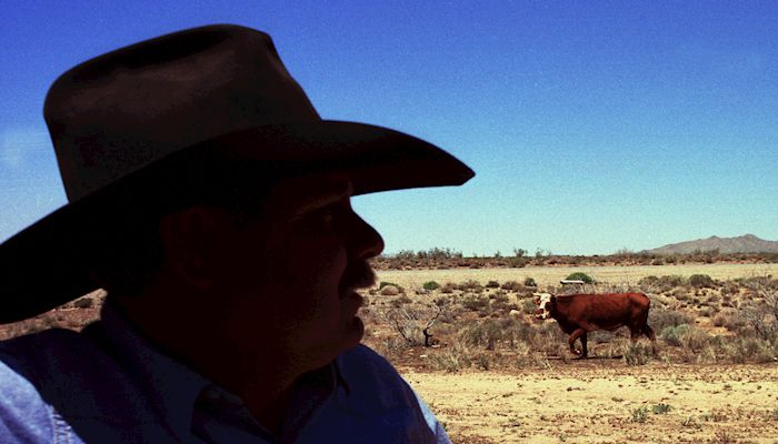 Arizona Agriculture is 24/7
