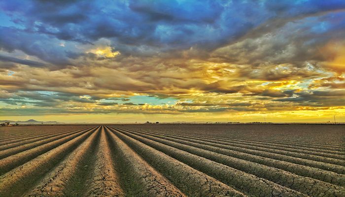 Arizona Agriculture Moves the State's Economy!