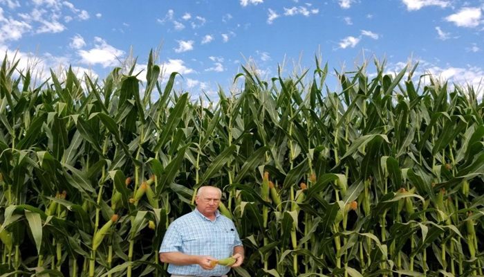 August Arizona Agriculture