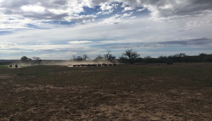 Arizona Agriculture is a Numbers Game