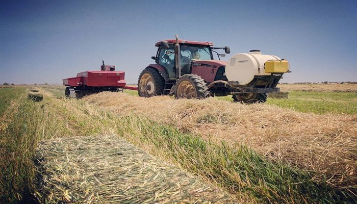 Arizona Producers are Top Tier Responders to USDA Data Collection