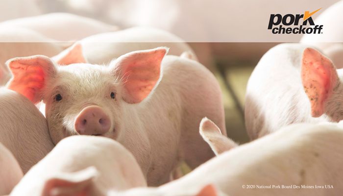 Pigging Out on the Arizona Pork Industry Story