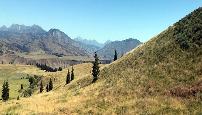Farm Bureau Provides Comments on Proposed U.S. Forest Service Grazing Permit Changes 