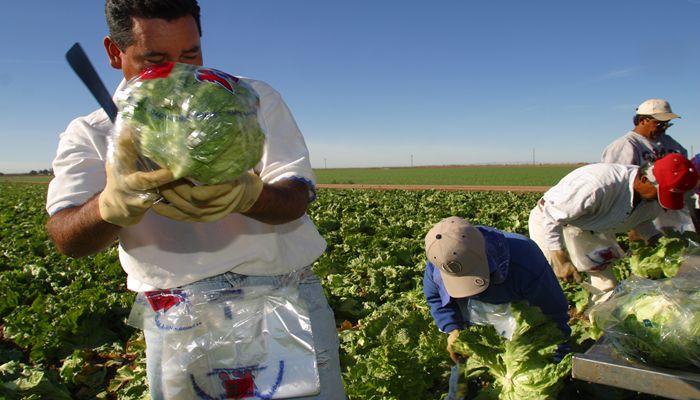 Arizona Agriculture Works!