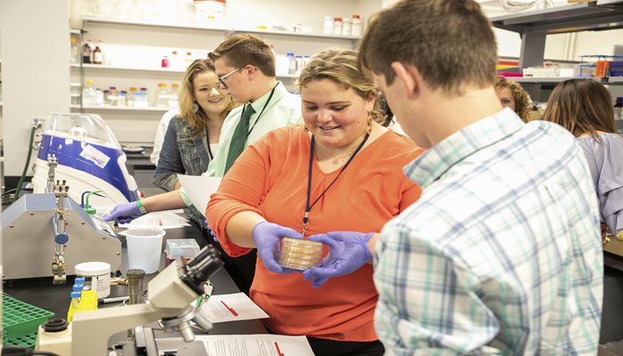 Arizona Cooperative Extension Waives Enrollment Fees for 4-H Youth and Covers Costs of Volunteer Background Checks