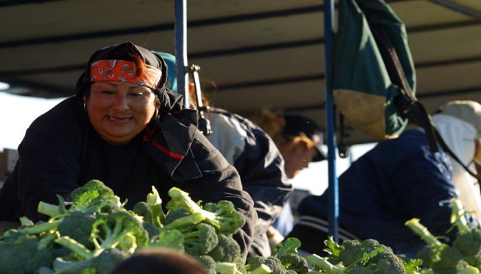 Maricopa County Public Health Has Free Services for Farms, Farmworkers 
