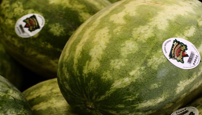 Arizona Summertime Means Fresh, Local Arizona Melon Time