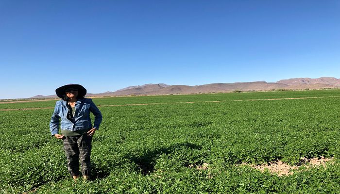 Two Arizona Agriculture Facts To Celebrate!