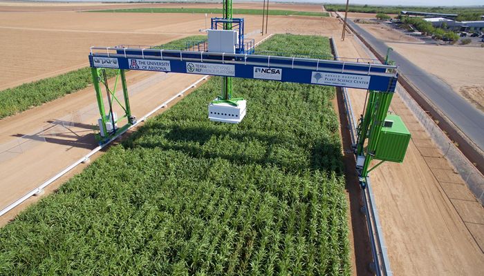Million Dollar Award Advances University of Arizona’s Continued Efforts to Support Agriculture