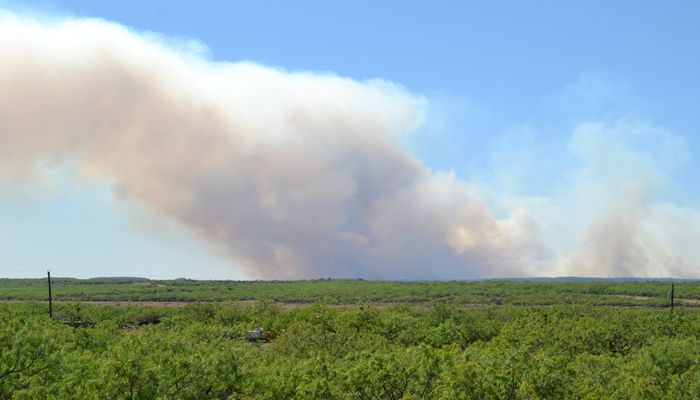 Smoke from a wildfire rages against a forage-covered plain.