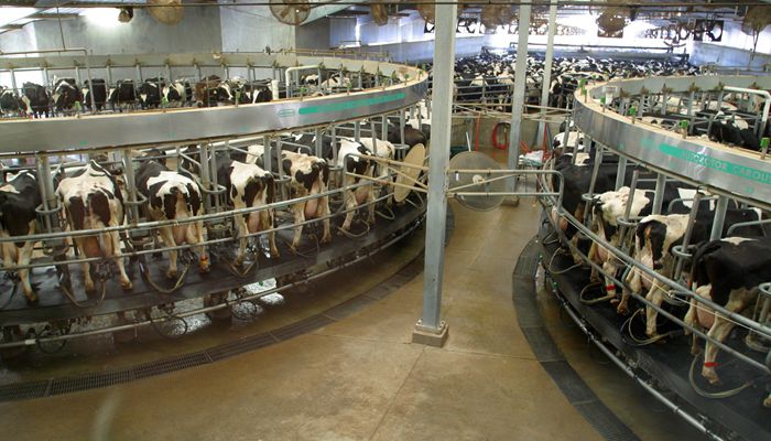 Farm Fresh: Arizona Dairy Products, Local and Available