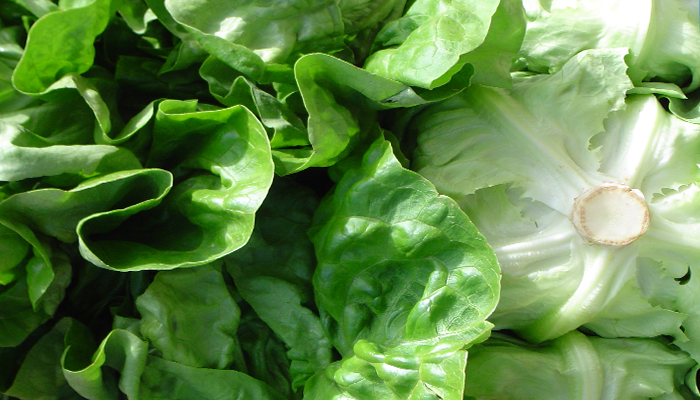 Nearly A Dozen Reasons to Eat Arizona Leafy Greens