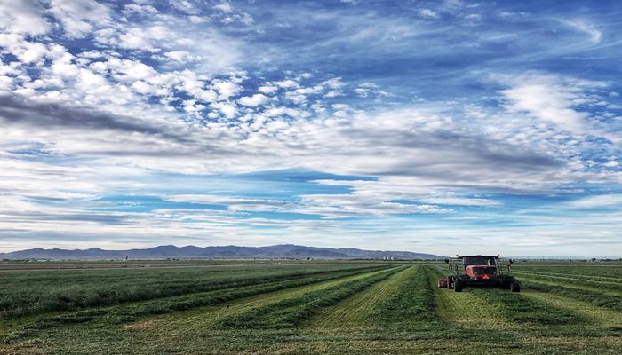 The Shapes and Sizes of Arizona Agriculture