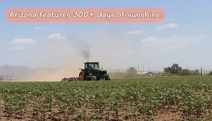 Arizona's Climate Makes Arizona Agriculture Successful! 