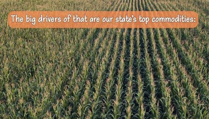 Get to Know Arizona's Top Ag Commodities (the Video)