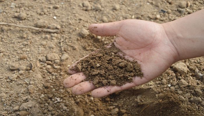 Your Input Needed: USDA Launches Public Inquiry on Input Markets