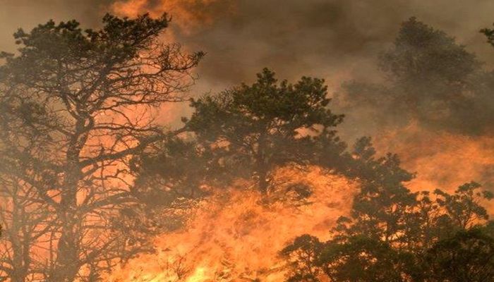 The Arizona Department of Forestry and Fire Management Accepting Project Applications
