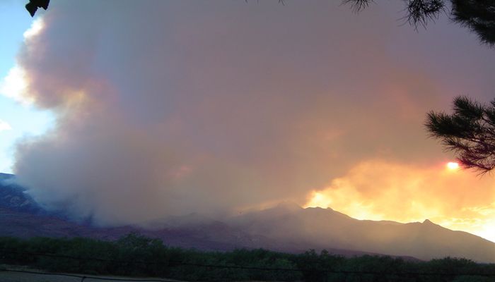 So, You Might Be Evacuated. Now What?