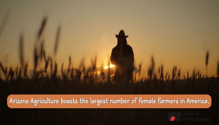 A Few Fun Facts About Arizona Agriculture 
