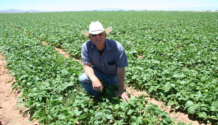 Arizona Agriculture is Sustainable Agriculture