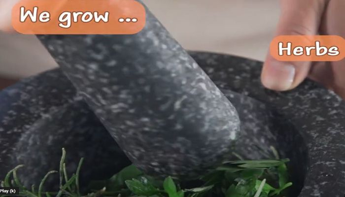 Video: Arizona Agriculture: So Special To Us