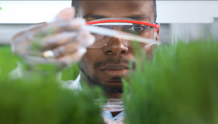 Understanding Pesticides: Know the Toxicology Maxim