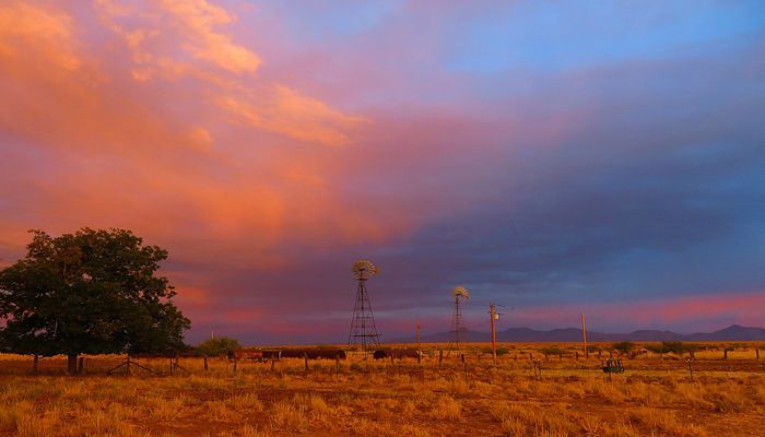 Climate Change: Arizona is a Great Place to Study It!