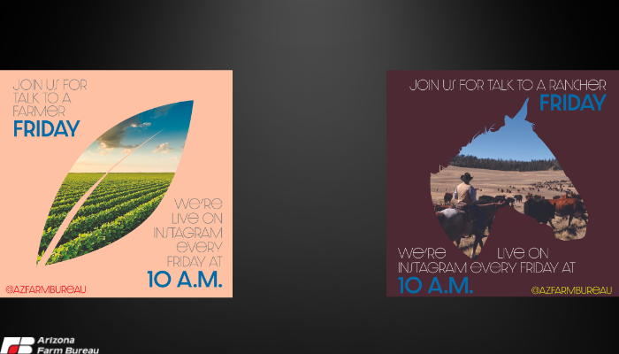 Every Friday, Our Arizona Farmers and Ranchers Can Be Found on Instagram