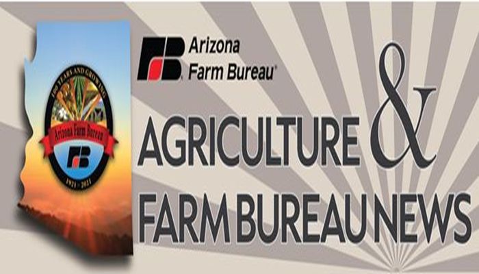 Ag Business Bottom Line: How Our Communication Channels Support Your Business Success