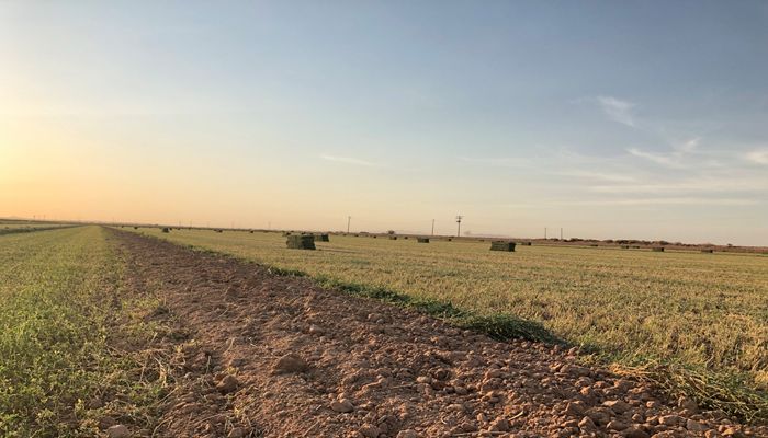 Rosie on the House: Why We Gather Agriculture Numbers