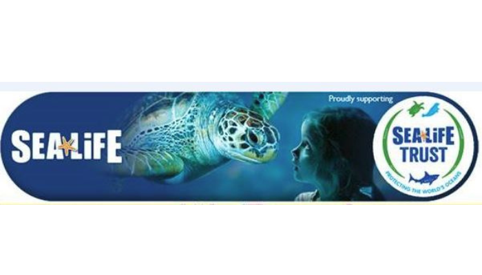 SEALIFE Arizona Aquarium: An Underwater Adventure in the Desert
