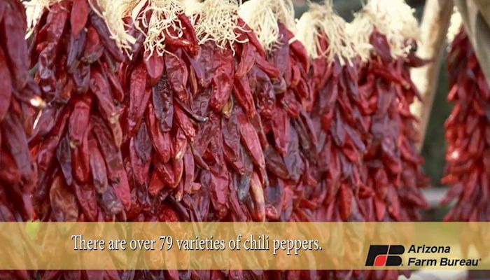 We're Hot Hot Hot about Arizona Chili Peppers!
