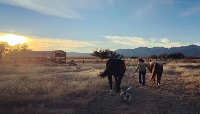 Rosie on the House: AZ Rancher Features Industry’s Conservation Efforts
