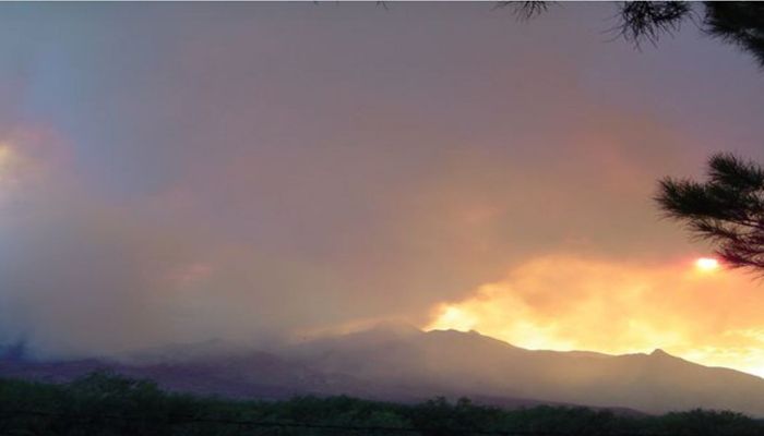 Livestock Operator Fire and Flood Assistance Program (LOFFAP) - Grant Application Workshops – Register Today!