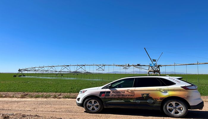 Drilling Down on Arizona Agriculture’s Water Issue