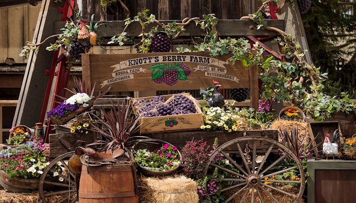 Save This Fall at Knott's Berry Farm