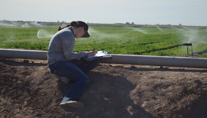 Arizona Ag Takes Water Quality and Food Safety Seriously