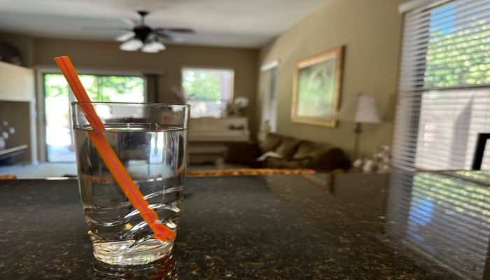 How to Ensure that You Stay Properly Hydrated