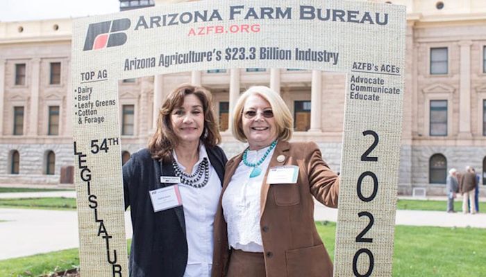 Arizona's 2020 Legislative Session Concludes