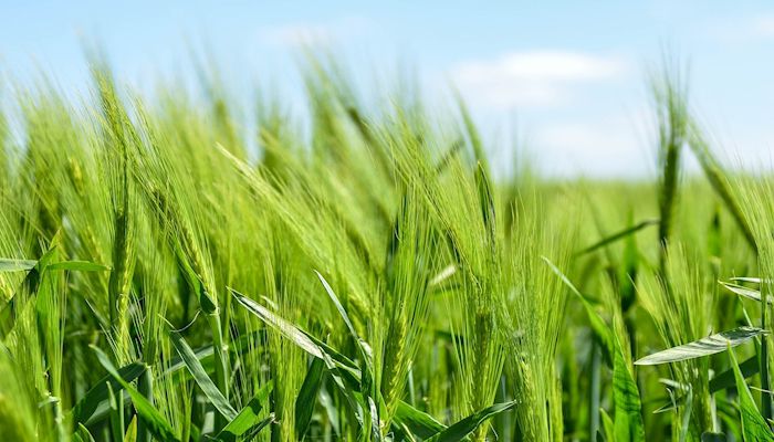 USDA Announces $1 Billion for Rural Businesses and Agricultural Producers