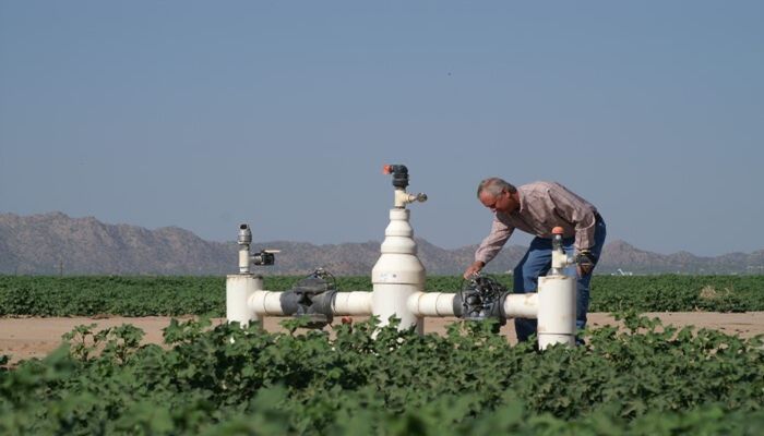 Amazing Numbers Under a U of A Water Irrigation Efficiency Program