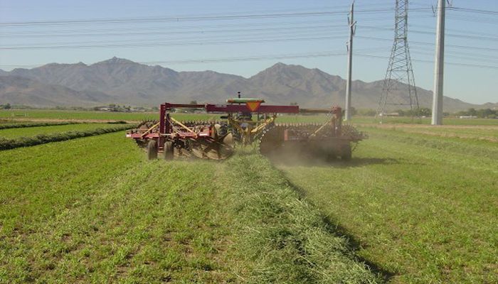 Tell USDA that Alfalfa Needs COVID-19 Relief 