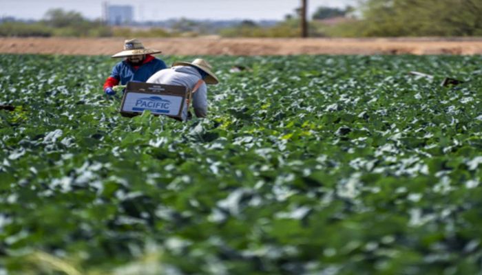 Four Simple Strategies to Staying Cool and Healthy Under Arizona’s Sun