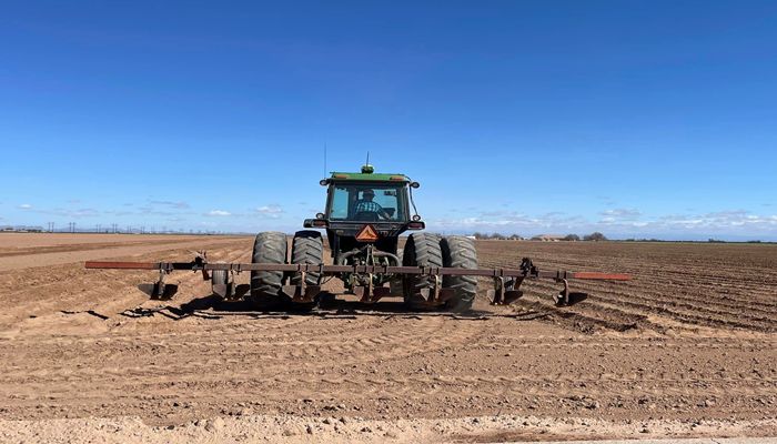 Rosie on the House: Celebrating Arizona Climate and Soil!