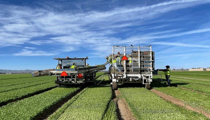 The Cost to Farm: Skyrocketing Inflation and How Aggies Mitigate These Costs