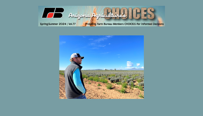 Choices Spring Summer 2024